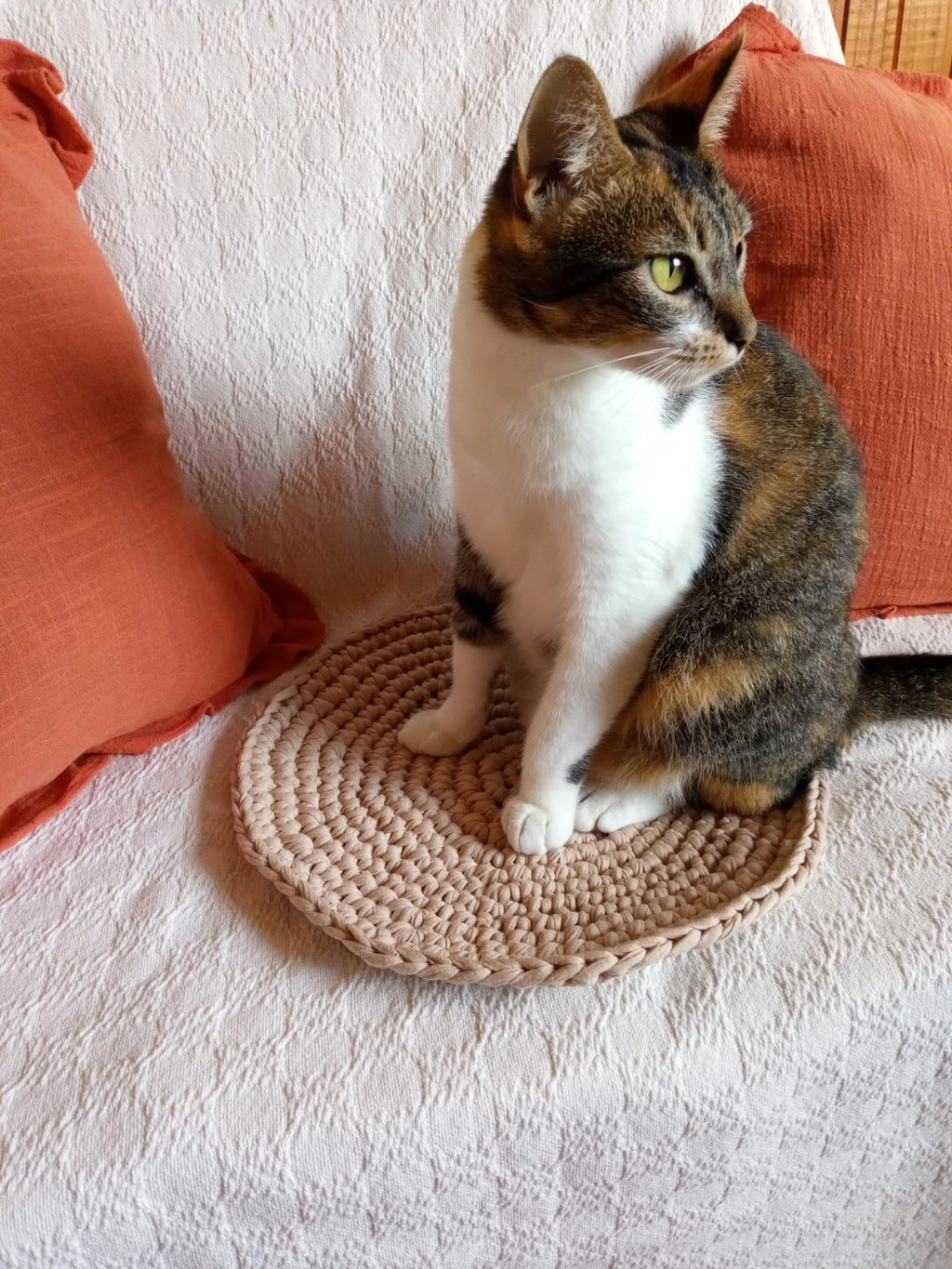Tapete para Mascotas. Protector de Sofa o Cama. Tejido 34 cm - Rugiada