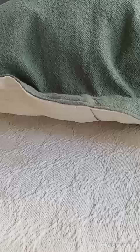 Funda Bicolor de Almohadón Tusor Verde Beige 40 x 40 Rugiada Textil